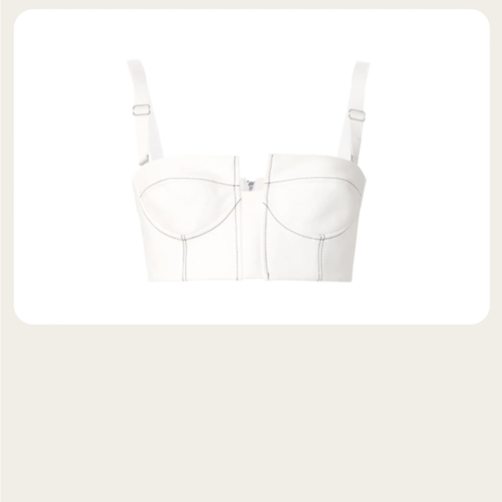 Dion Lee bustier